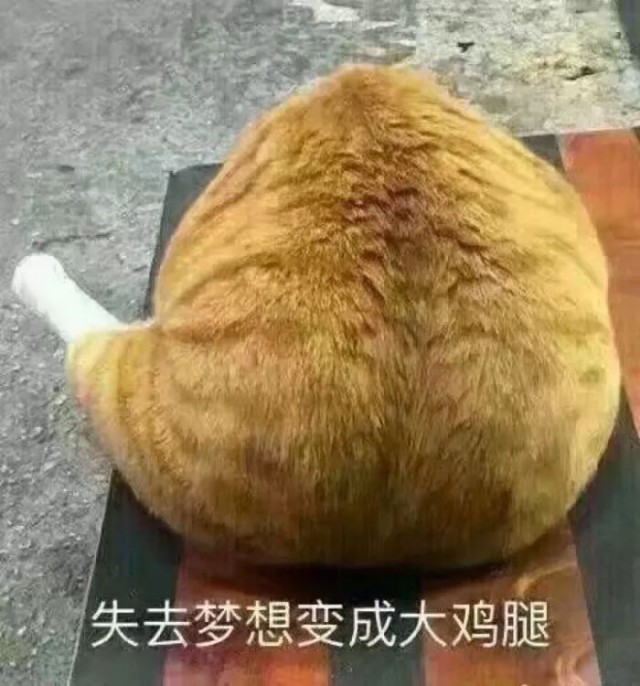查询重名查询_全国重名查询系统官方网站_查询重名的网站