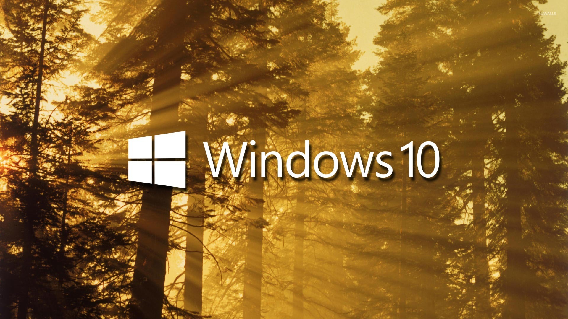 WindowsPhone8.1 升级到 Win10，升级过程让我又爱又恨