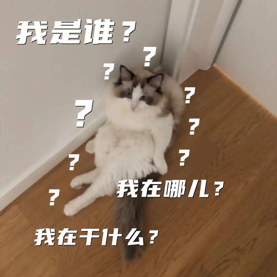 冠心病病例报告_病例冠心病的鉴别诊断_冠心病的病例
