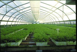安卓健种植系统简介,智能农业的绿色革命概览