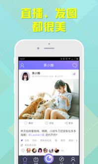 安卓系统能看直播吗,轻松观看无忧体验