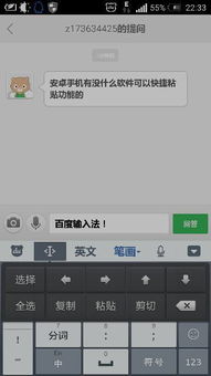 安卓系统提示粘贴功能