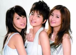 GayVilla有没有安卓系统
