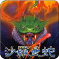 沙罗曼蛇 