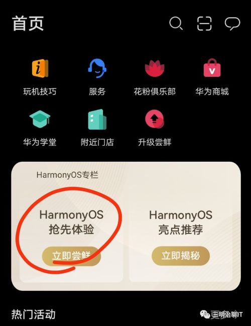 安卓怎样升级鸿蒙系统,轻松实现系统升级全攻略