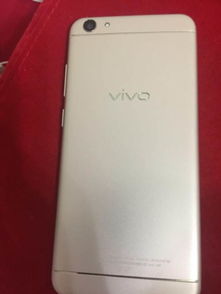 vivo手机出现安卓系统,vivo手机安卓系统故障排查与解决指南