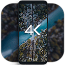 4kwallpapers汉化版动态壁纸app安卓版免费下载安装v3.2.3 