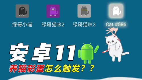 手机安卓系统养猫,解锁手机与猫咪的和谐生活