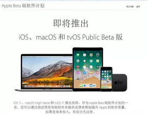 苹果登录安卓系统,探索iOS系统在安卓平台上的可能性