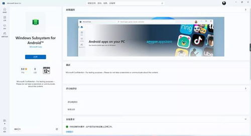 安卓子系统商店,一站式应用与游戏乐园