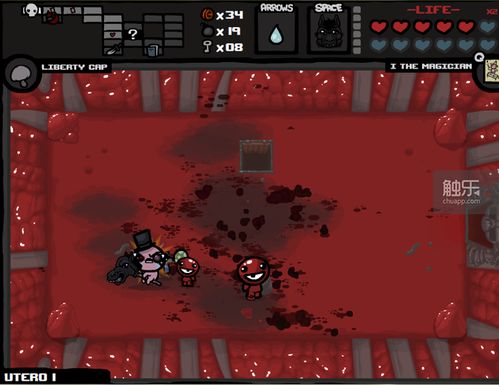 肥胖的超级马里奥游戏 