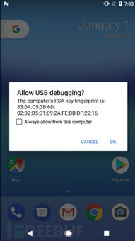 安卓系统后门漏洞,安全风险与应对策略