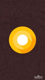 小米安卓系统彩蛋,体验科技魅力