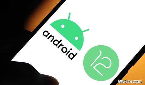 安卓系统适配度,助力应用无缝跨平台体验